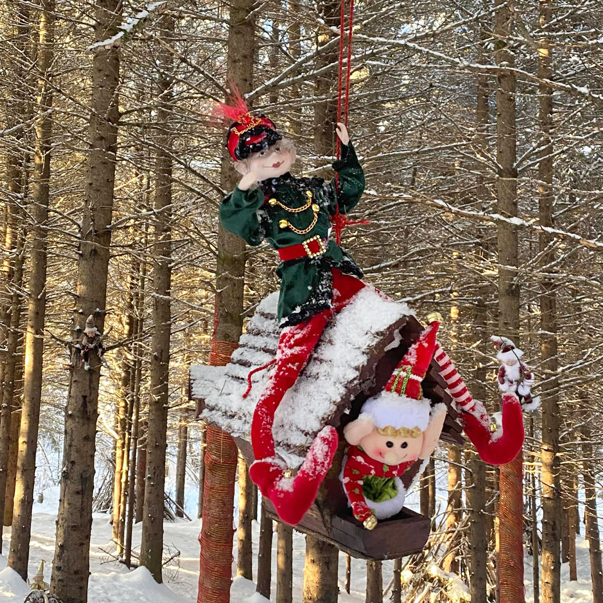 Noël - Cueillette festive de Sapin – Image 5